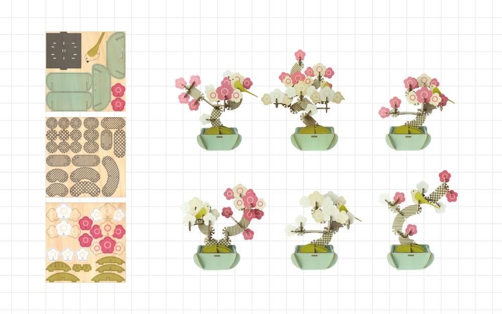 product render of flat disassembled bonsai wooden pieces on the left. six variations of assembled bonsai apricot on the right